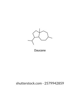 Daucane skeletal structure.Sesquiterpene compound schematic illustration. Simple diagram, chemical structure.