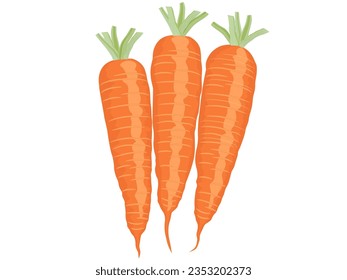 Daucus carota soupe sur fond blanc.