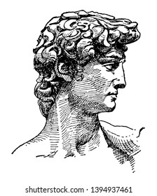 David face of Michelangelos sculpture the biblical hero David vintage line drawing or engraving illustration