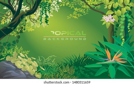 El amanecer de un hermoso bosque tropical con flores, plantas y árboles.