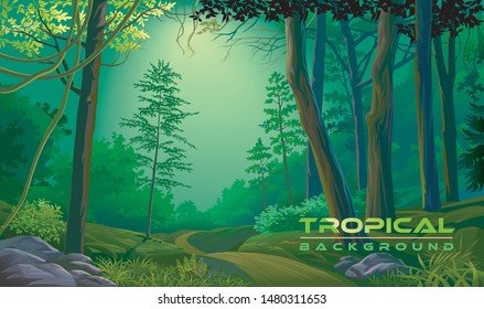 The dawn of a beautiful tropical forest and a path crossing across a lush landscape.