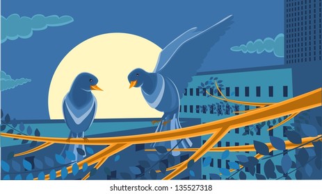 Dawn in the city