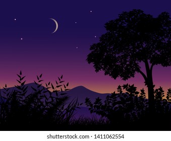 dawn in forest vector nature illustration 
