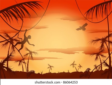 Dawn in jungle, Vector illustration