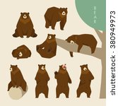 Day of a brown bear