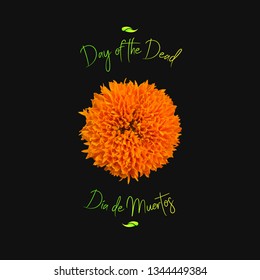 Day of the Dead aka Día de Muertos illustration based on Marigold flower.