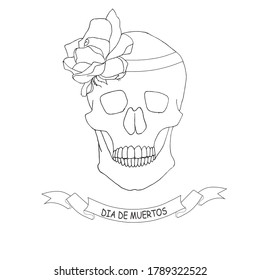 Day of the dead banner. Skull profile with rose hand drawn graphic ink sketch stock vector illustration for web, for print