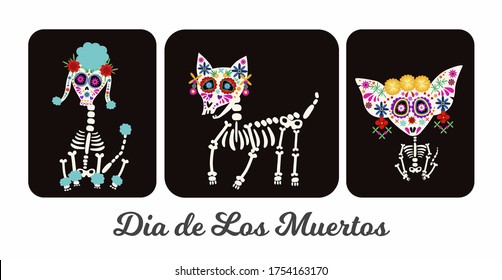 Day of the Dead, Dia de los muertos, animal dog skulls and skeleton decorated with colorful Mexican elements and flowers. Fiesta, Halloween, holiday poster, party. Vector illustration