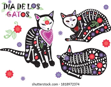 Day of the dead, Dia de los muertos gatos, sugar skull black cats skeletons collection decorated with colorful Mexican elements and flowers. Vector holiday fiesta Halloween design illustration