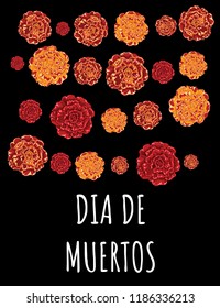  Day of the Dead. Dia de Muertos. Marigold Flower - Tagetes.