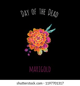 Day of the Dead: marigold element for decoration traditional mexican holiday. Hand drawn illustration in watercolor style on black background. 