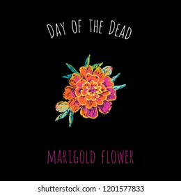 Day of the Dead: marigold flower element for decoration traditional mexican holiday. Hand drawn illustration in watercolor style on black background. 