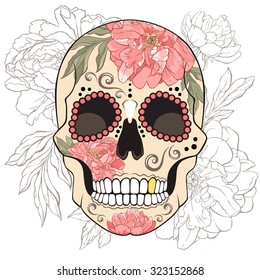 Day of The Dead Sugar Skull with floral ornament. Vector illustration