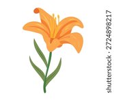 Day lily flower. Flat vector clipart, illustration with isolated background.
