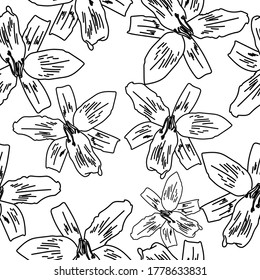 Day Lily Outline Flower Seamless Pattern, Hand Draw Vector Illustration For Design And Creativity