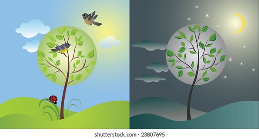 Day and night