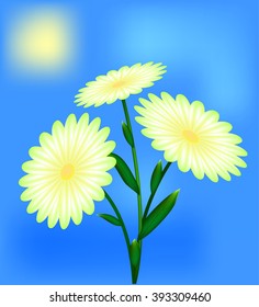 day under the glow of the sun blossomed the flower . Flower with green leaves . vector illustration .