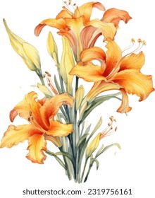 Daylilies Watercolor illustration. Hand drawn underwater element design. Artistic vector marine design element. Illustration for greeting cards, printing and other design projects.