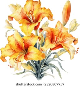 Daylilies Watercolor illustration. Hand drawn underwater element design. Artistic vector marine design element. Illustration for greeting cards, printing and other design projects.