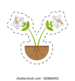 daylily flower branch growing vector illustration eps 10