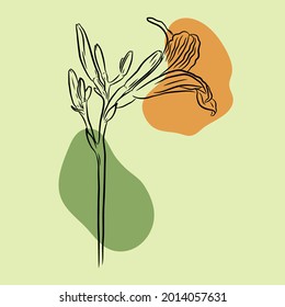 Täglich. Handgezeichnete Vektorgrafik des Line Art Stils einzeln auf grünem Hintergrund.