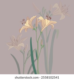 daylily, vector drawing flowers, floral composition,, hand drawn botanical illustration