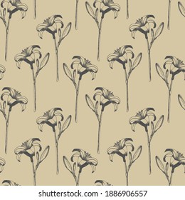 Daylily vector seamless pattern. Hand drawn flowers of day lily on beige background. Design for wedding decor, wallpapers, curtains, textile, wrapping paper.