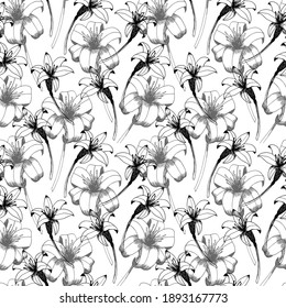 Daylily vector seamless pattern. Hand drawn flowers of day lily on white background. Design for wedding decor, wallpapers, curtains, textile, wrapping paper.