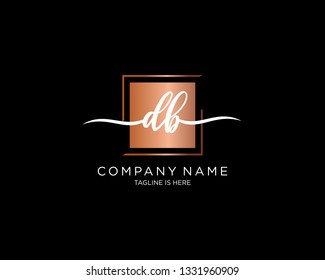 DB handwriting initial  logo vector