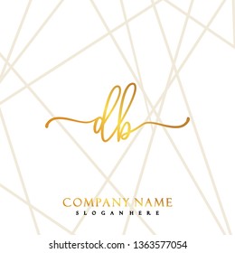 DB Initial Handwriting logo template vector