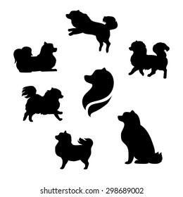 Ddwarf spitz vector icons and silhouettes. Set of illustrations in different poses.