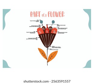 The “Part de Flower” is a captivating infographic illustration that elegantly showcases the intricate components of flowers