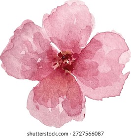 Ilustración botánica de flor rosa pintada a mano en acuarela. Flor individual aislada sobre fondo blanco. Ideal para diseños románticos, estampas textiles, papelería, invitaciones, branding, decoración, productos editoriales y proyectos creativos con estética floral y artesanal.