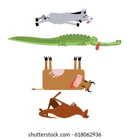 Dead animals set 3. Donkey and crocodile. Cow and kangaroo. animal is death. Corpse of Beast