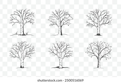 Dead Aspen Tree Silhouette and Line Art Vector Set of Various Poses and Angles