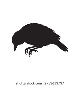 Dead bird black silhouette vector illustration on white background