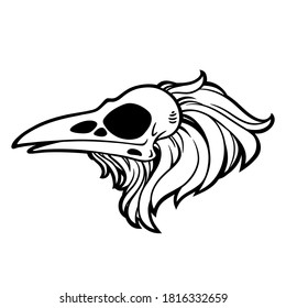 dead bird skull with feathers