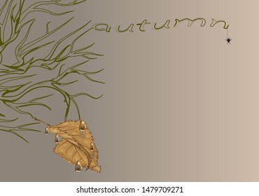 dead branch with a brown autumn leaf