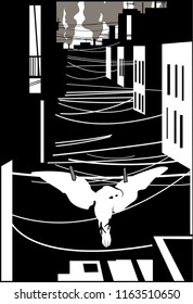 dead dove in the suburbs