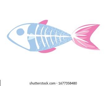 dead fish bone xray skeleton on white background