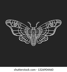 Dead head butterfly. Night insects. Moth on a black background. Hand drawn linear illustration. Great for tattoo, print on a T-shirt, for decoration of Halloween and more.
