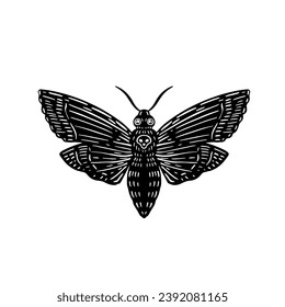 Dead head moth - witchy magic illustration. Linocut print style. Vector .