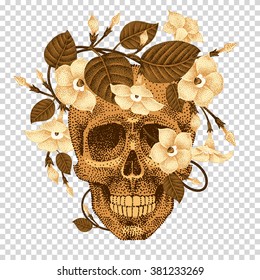 Dead head with a wreath of ivy flowers isolated on transparent background. Vector illustration human skull and plants devil guts. Current trend print with gold foil.