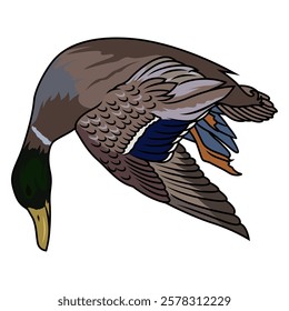 dead mallard duck hunting illustration logo vector image t shirt