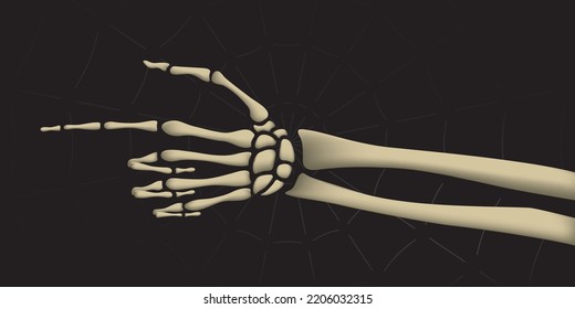 Dead Man Skeleton Realistic Hand Pointer Showing Direction Halloween Holidays Decoration Comic 3D StyleTemplate - Bones on Black Spider Web Background - Vector Mixed Graphic Design