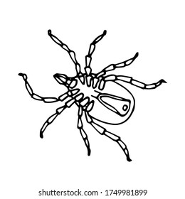 ácaro muerto en la parte posterior, insecto parásito, ixodes ricinus, portador de infección, succionador de sangre, ilustración vectorial con líneas de contorno negro aisladas en fondo blanco con estilo dibujado a mano