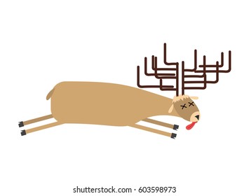 Dead moose. Deer is dead. Corpse of wild beast