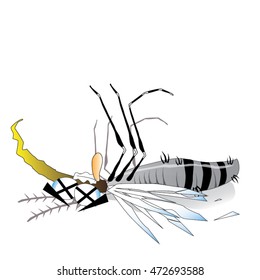 dead mosquito cartoon isolated background