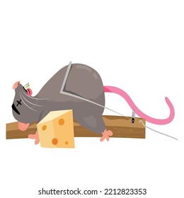 dead mouse in mousetrap, vector illustration of a rodent.