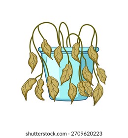 Planta muerta en una maceta azul claro con hojas secas y marrones marchitas, ilustrando conceptos de fracaso, negligencia, descomposición, decepción y la necesidad de cuidado o reavivamiento